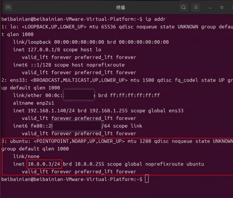Ubuntu 系统查看网卡配置信息